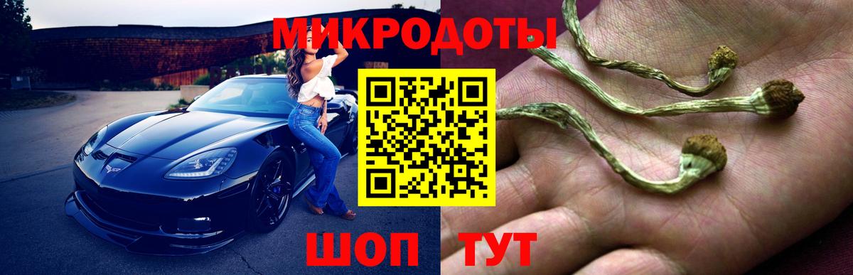 Отрадный  Галлюциногенные грибы Magic Shrooms  Вход с VPN 
